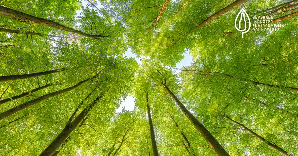 BIER’s Collective Progress on Climate