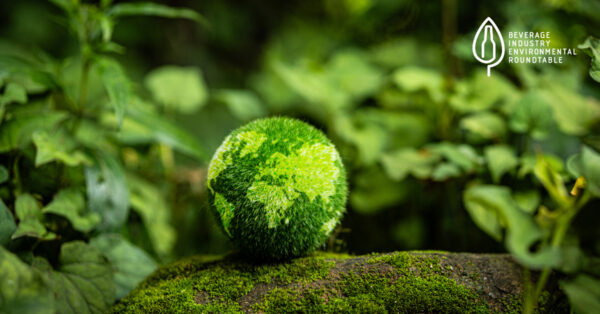 Beverage Industry Environmental Roundtable (BIER) Announces Celine Morris as Associate Director