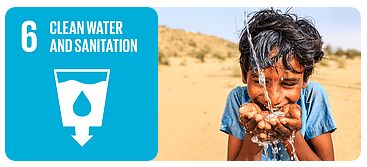 sustainable management