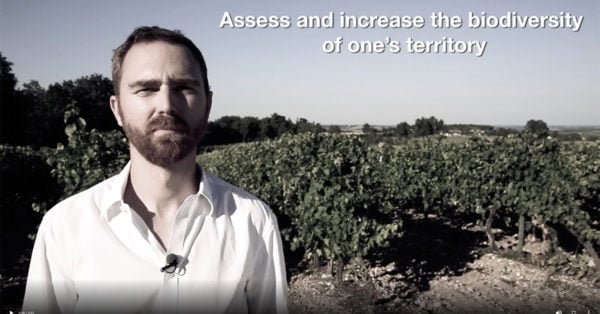 Pernod Ricard Case Study