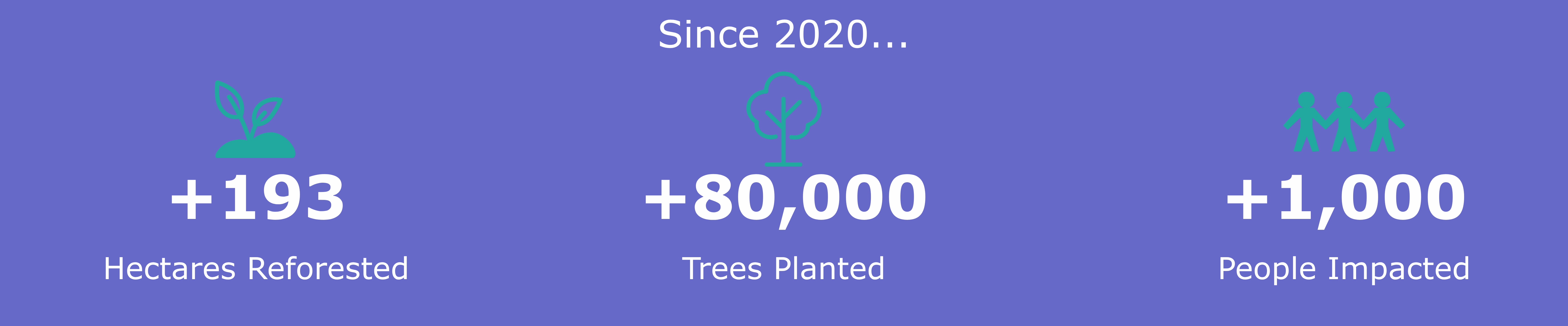 Charco Bendito Numbers