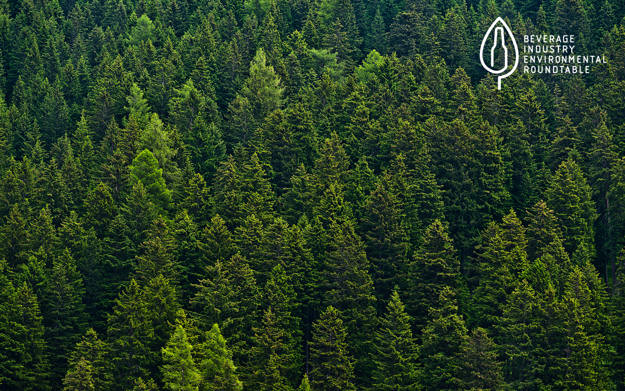 BIER Workstream Feature Series: Advancing SBTi No-Deforestation Disclosure Best Practices