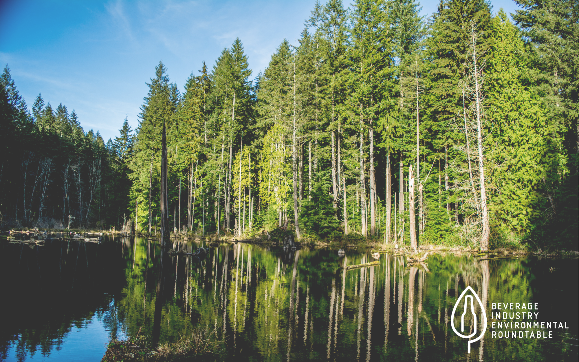 Workstream Feature Series: How BIER's Collective Action Hub Enables Cross-Cutting Sustainability Collaboration