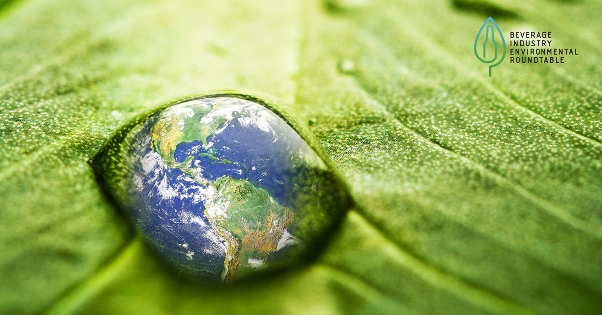 Adapting to Change: BIER’s Strategic Path for 2025 and Beyond