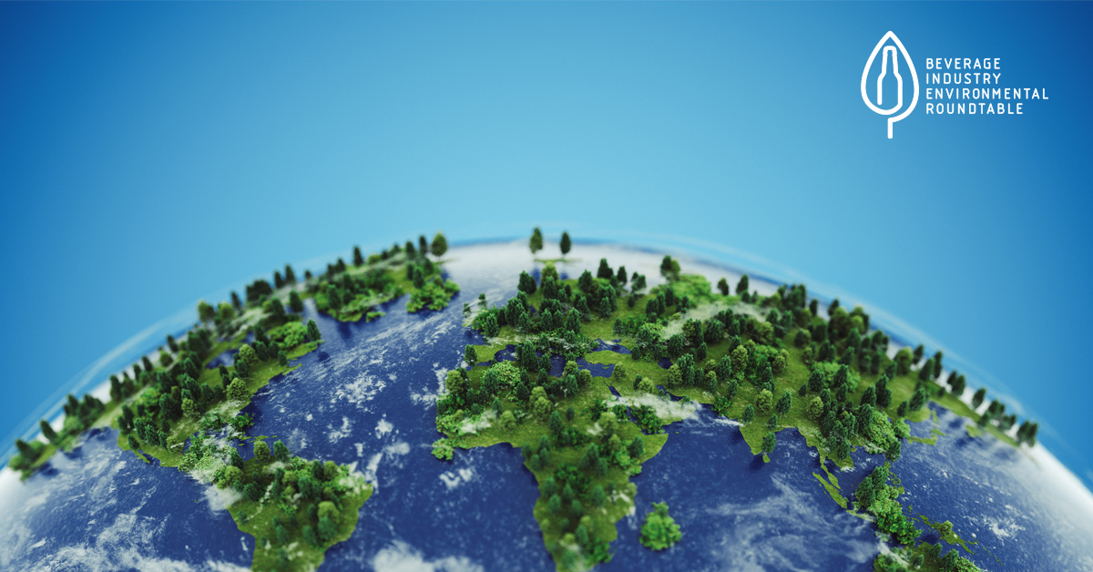 BIER Member Spotlights – Reflections Seeding the Future