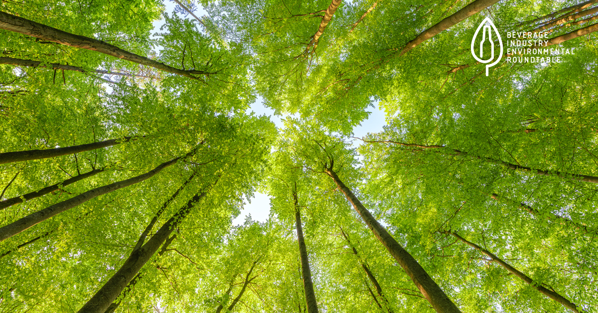 Spring Forward: BIER’s Collective Progress on Climate, Water, and Circularity