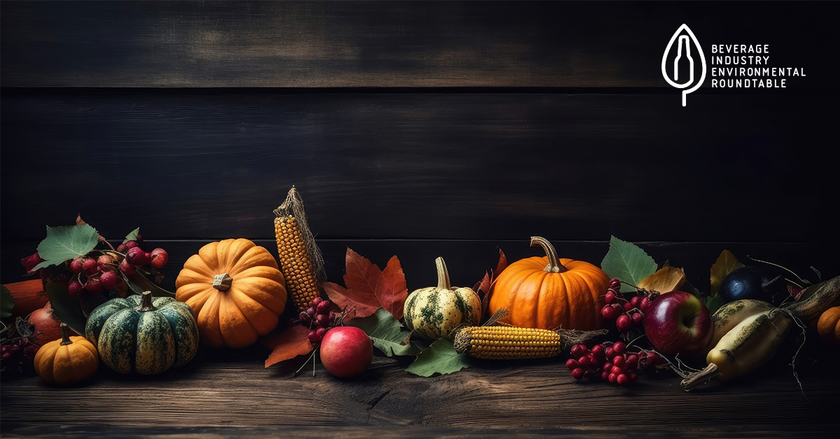 In Gratitude: How BIER’s Stakeholder Organizations Promote Collective Change