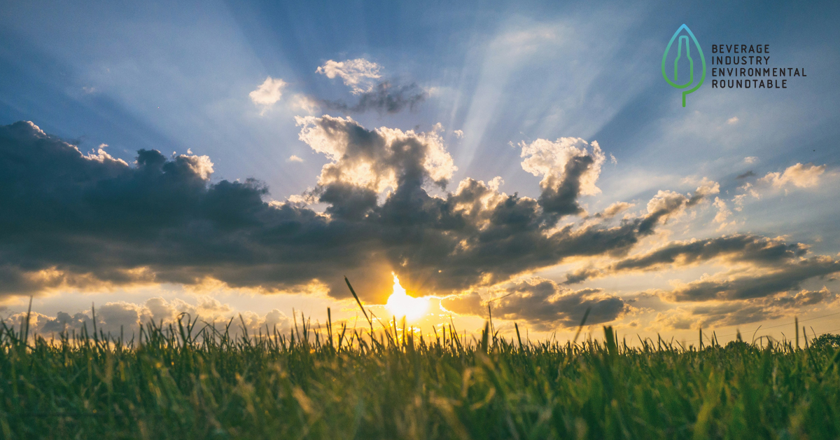 Summertime Reading: Mid-Year Review of BIER's Activities