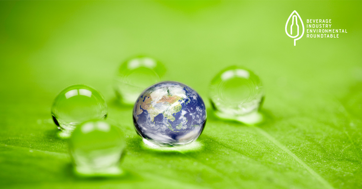 Earth Day and Environmental Action: How BIER Is Leading the Way Forward