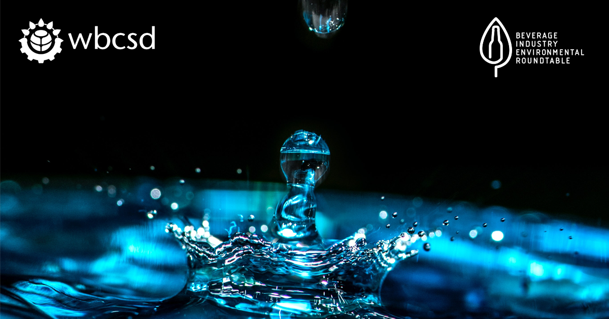 WBCSD and BIER Will Develop Guidance to Monitor and Measure Water Circularity