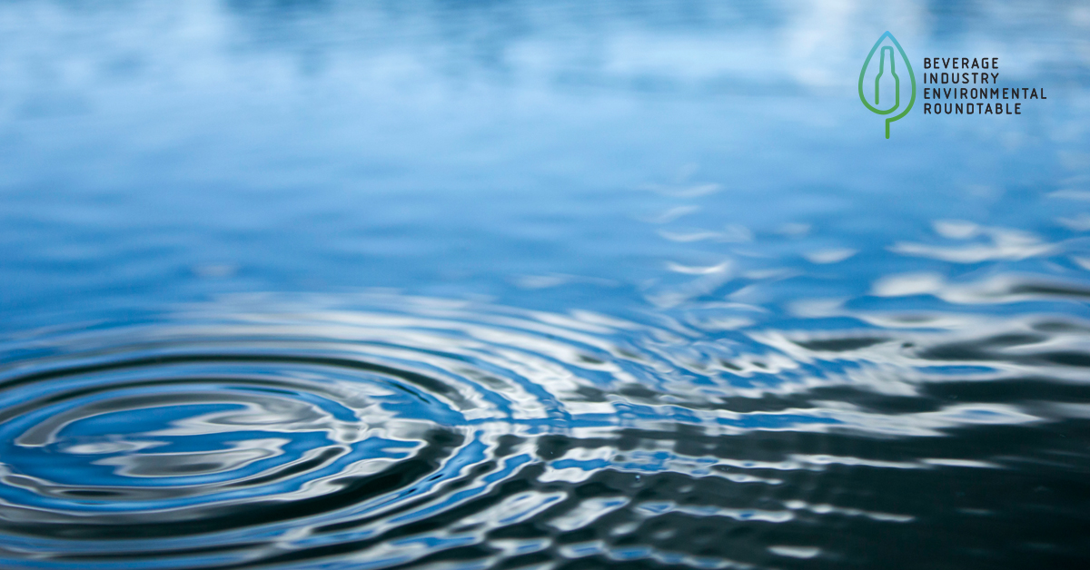 Reflecting on 2024: BIER Tackling Interconnected Challenges Through Collaboration and Commitment