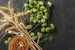 BIER Provides Leadership in Defining Beer PEFCR