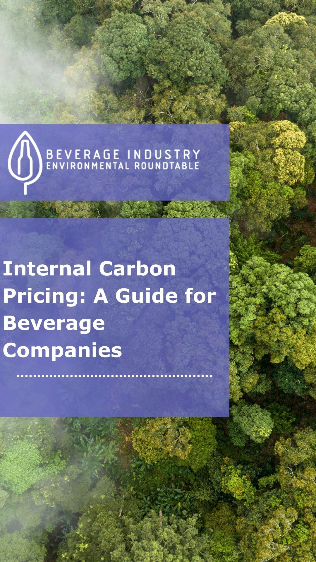 Internal Carbon Pricing Guide