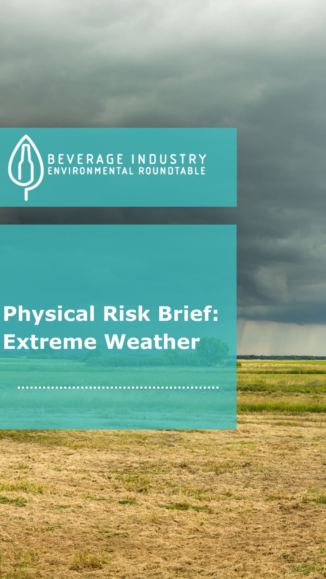 Physical Risk Brief Extreme Weather