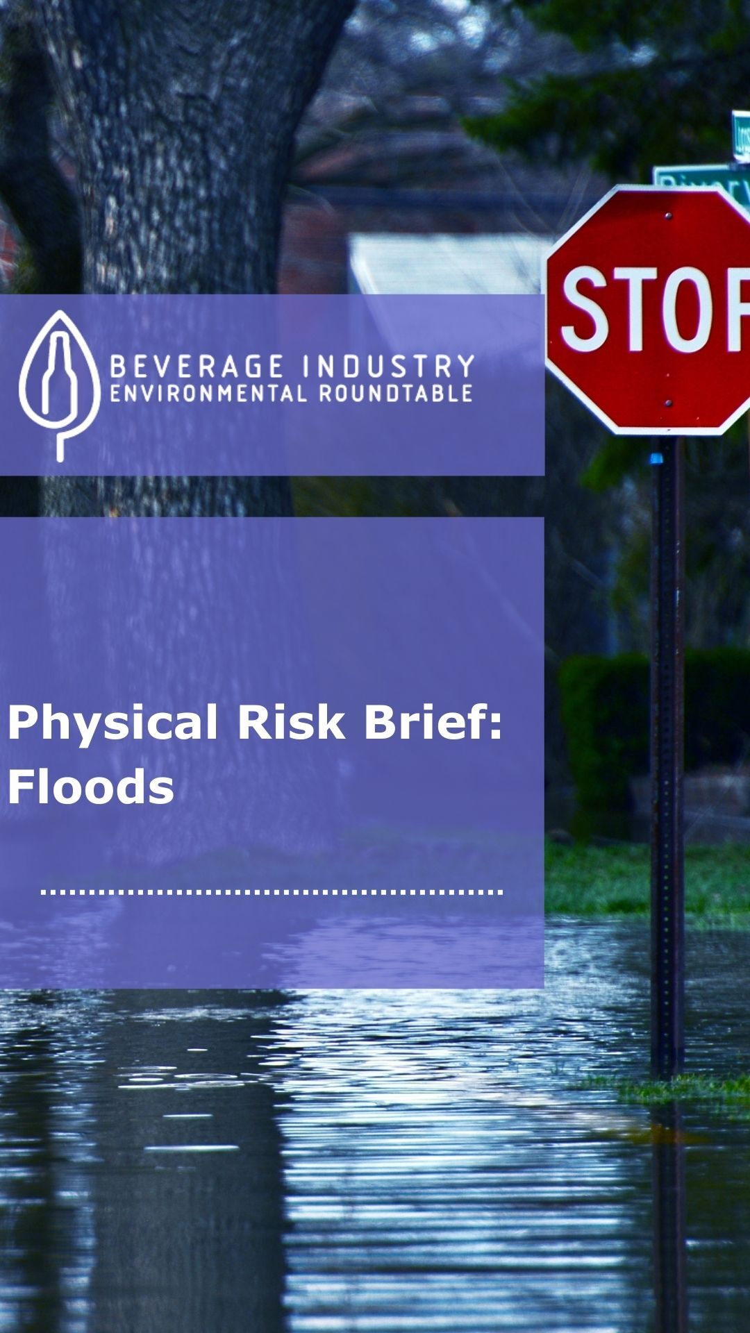 Physical Risk Brief Flood