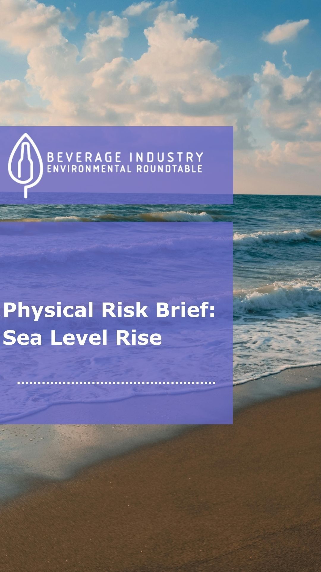 Physical Risk Brief Sea Level Rise