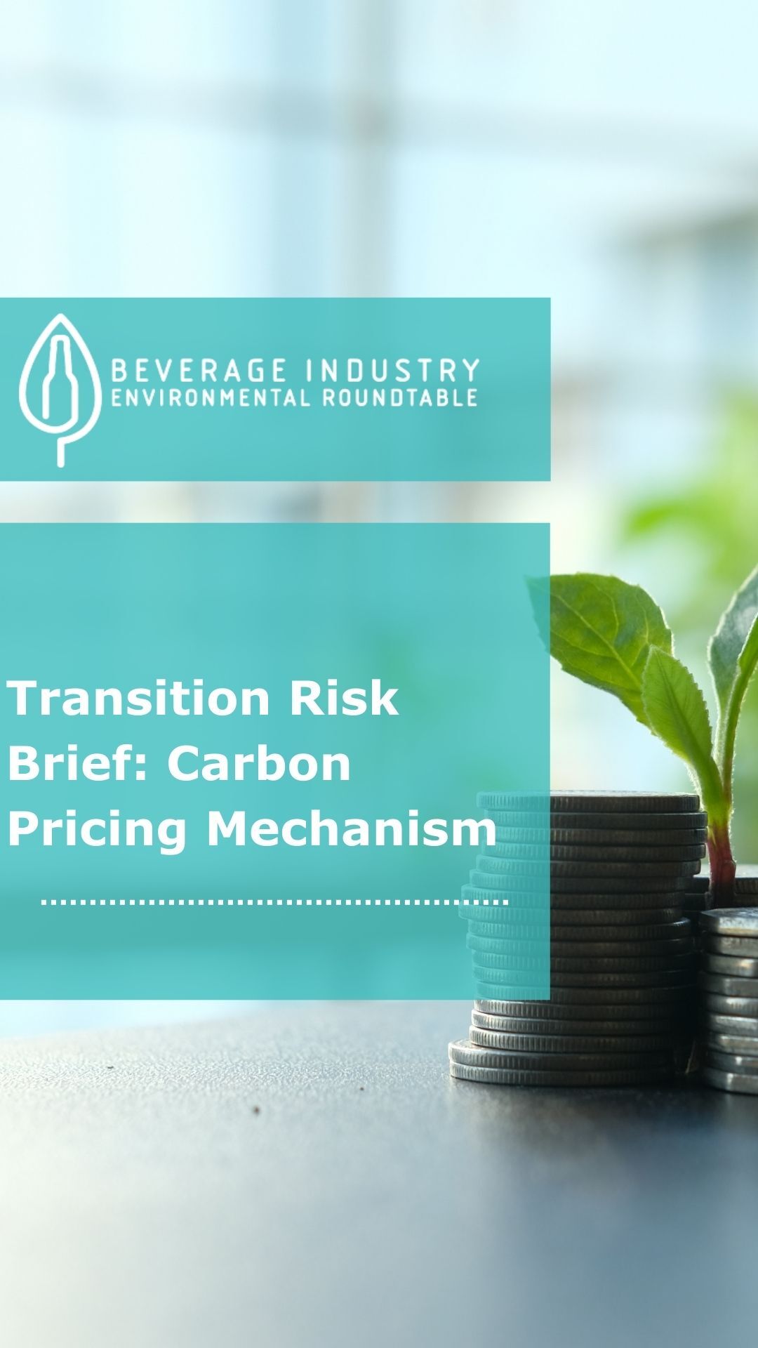 Transition Risk Brief Carbon Pricing Mechanism
