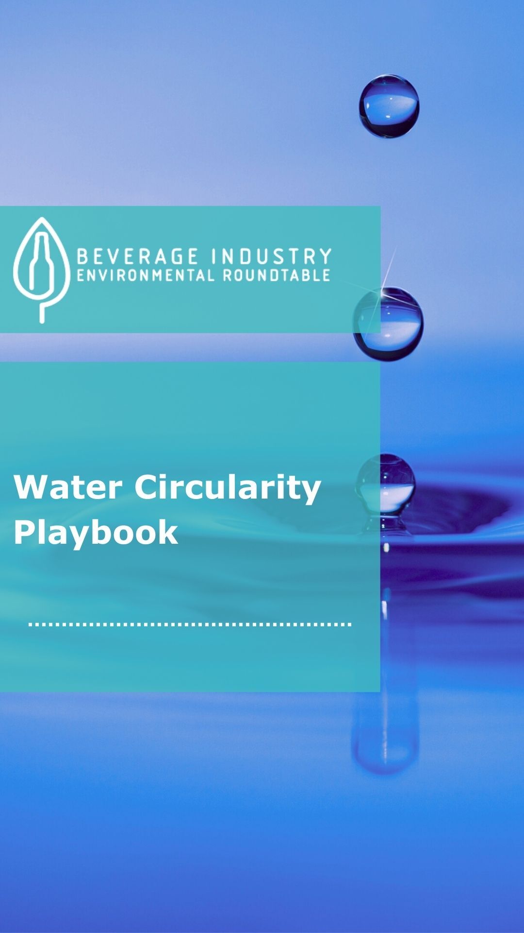 Water Circularity Playbook