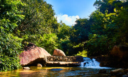 Charco Bendito Collaborative Watershed Project