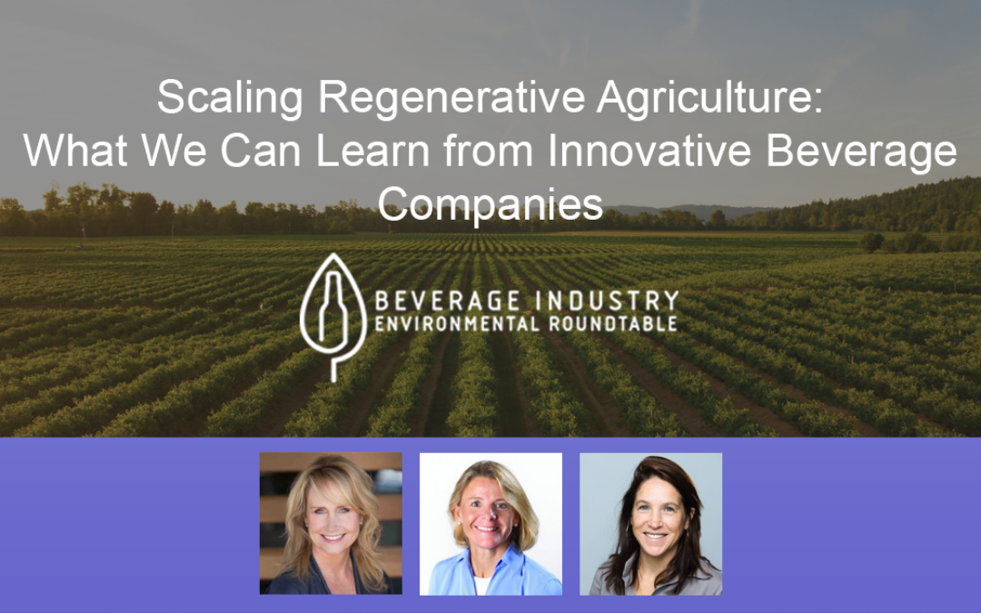 Scaling Regenerative Agriculture