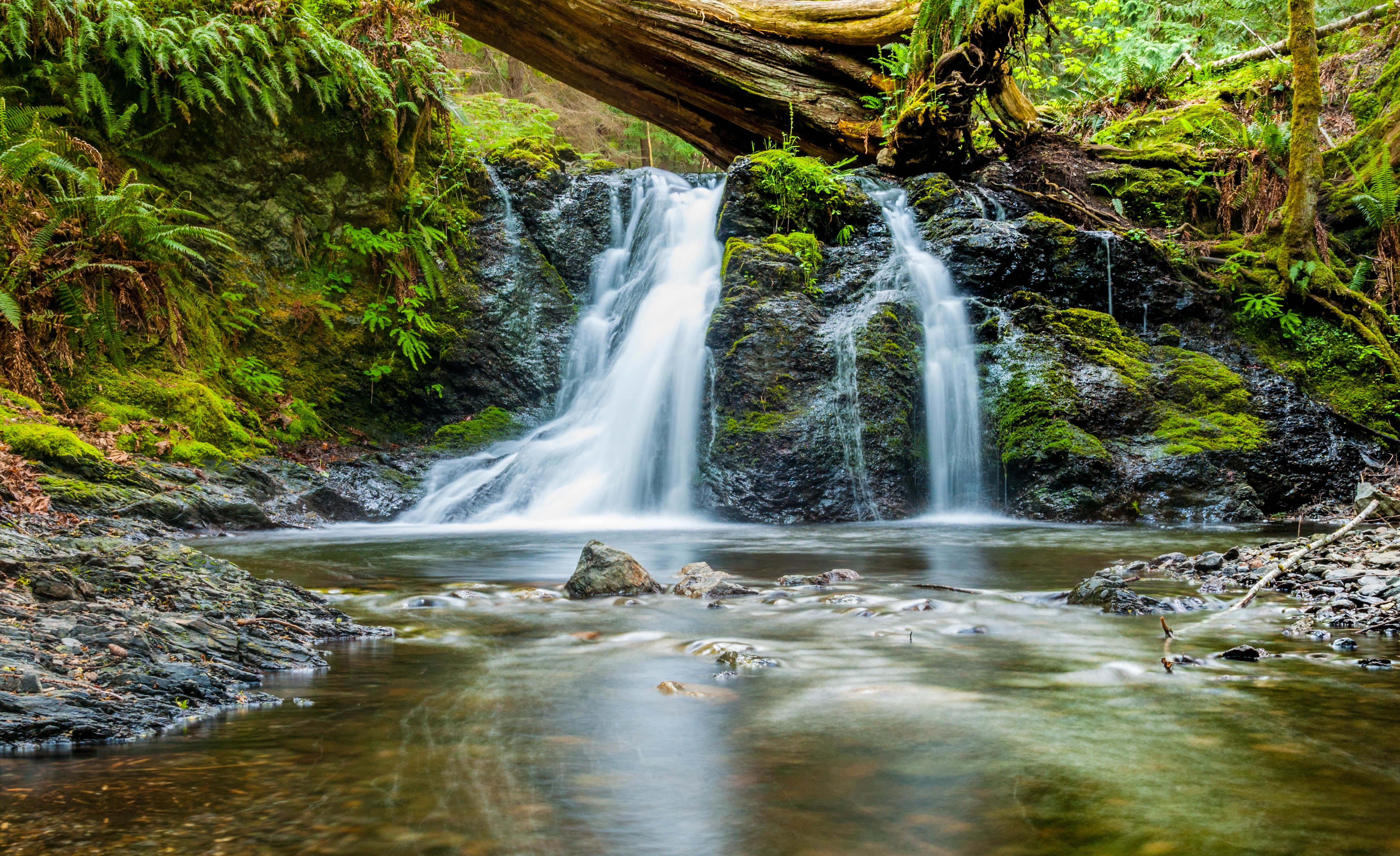 Ecosystem Services
